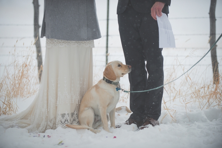 dog with bride and groom at the altar
